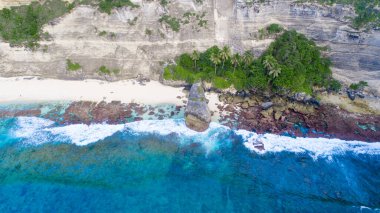 Tropikal sahil manzarası ve dalgalı turkuaz su