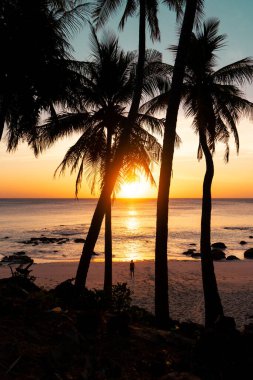 Gün batımında sahilde siluet hindistan cevizi palmiyeleri. yaz arkaplanı ve yaz tatili konsepti.