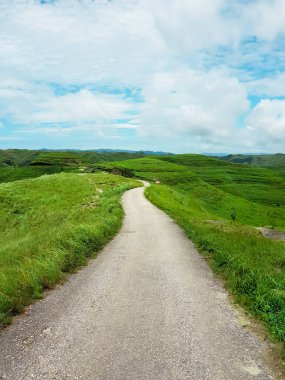 Güzel yaz dağı kırsal arazisi; toprak yolu ve mavi gökyüzü ile yaz yeşil tarlaları panorama