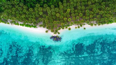 Beyaz kumlu, palmiye ağaçlı, turkuaz okyanuslu güzel tropikal plajlar. Yaz arkaplanı ve yaz tatili konsepti için mükemmel bir manzara.