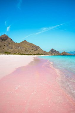 Boş tropik plaj ve deniz manzarası güneşli bir günde güzel pembe bech plajı ve deniz güzel hava gününde mavi gökyüzü. yaz arkaplanı ve yaz tatili konsepti.