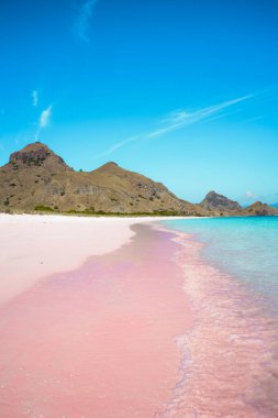 Güneş ışığında mavi gökyüzü olan tropik cennet pembe plajı. yaz arkaplanı ve yaz tatili kavramı.