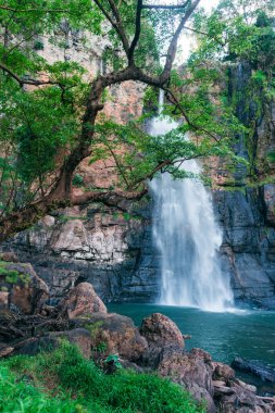 Güzel doğadaki yeşil orman manzarası. Yeşil doğada muhteşem bir şelale manzarası. Macera ve seyahat konsepti. Doğa arkaplanı