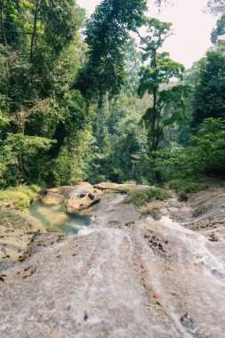 Ormandaki güzel tropik şelale