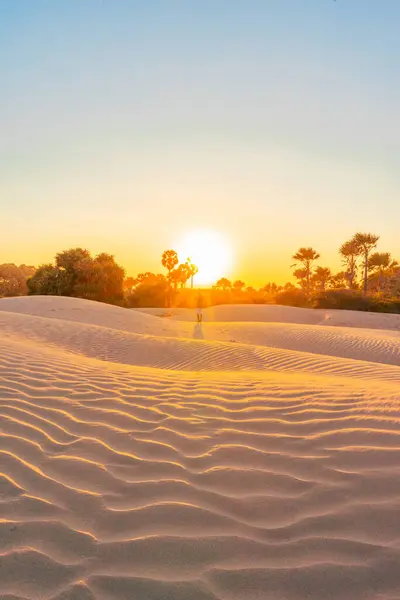 sunset over sand dunes of national dunes in new mexico