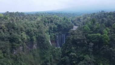 Nefes kesici Tumpak Sewu şelalesinin nehri, Semeru yanardağı, Lumajang ve Endonezya 'daki yemyeşil ormanlarda dalgalanan görüntüsü..