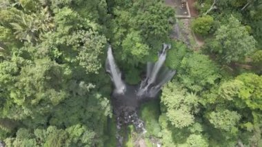 Kuzey adası Bali 'nin gizli taşlarından biri Sekumpul Şelaleleri Bali, Endonezya, en yüksek ve en güzel şelale Bali..