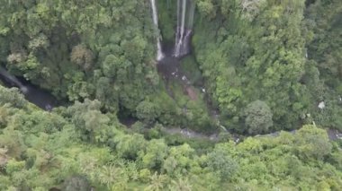 Ormandaki nehrin havadan görünüşü