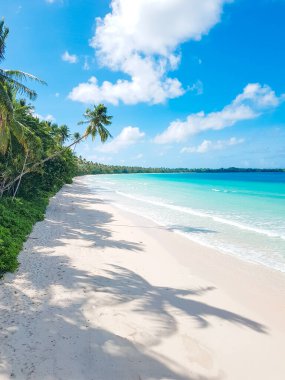 Tropik ada cenneti plaj doğası, mavi deniz dalgası, okyanus suyu, yeşil hindistan cevizi palmiyesi yaprakları.