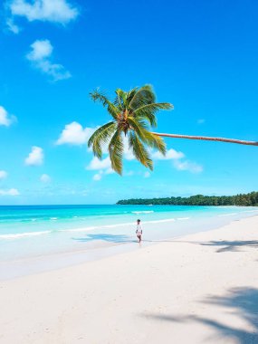 Beyaz kumlu bir sahilde yürüyen bir adam ve sahile bakan hindistan cevizi ağaçlı turkuaz bir okyanus suyu. yaz arkaplanı ve yaz tatili konsepti. 