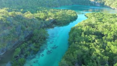 Paddleboder Temiz Su 'yu keşfediyor, mangrov ormanının yakınındaki şeffaf turkuaz okyanusun üzerinde süzülen bir kürekçinin havadan görüntüsü.