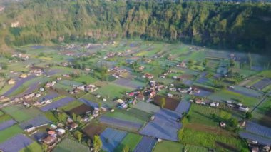 Sabahleyin Bali köyündeki pirinç tarlasının havadan görünüşü. Endonezya.