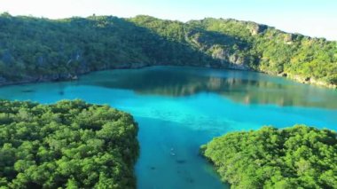 Güzel bir mangrov ormanı boyunca turkuaz mavi suyla kürek çeken bir adamın havadan görüntüsü..