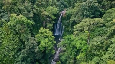 Rinjani, Senaru, Lombok, Endonezya, Güneydoğu Asya yakınlarındaki Tiu Kelep Şelalesi 'ndeki ormanlarda güzel bir şelale.
