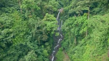 Tiu Kelep Şelalesi, Senaru, Lombok, Endonezya, Güneydoğu Asya ve Asya 'daki ormanlarda güzel bir şelale.
