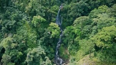 Rinjani, Senaru, Lombok, Endonezya yakınlarındaki Tiu Kelep Şelalesi 'ndeki tropikal ormandaki güzel şelale manzarası.