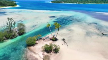 Tropik adanın turkuaz sularında beyaz bir kürek üzerinde uçan bir adamın görüntüsü.