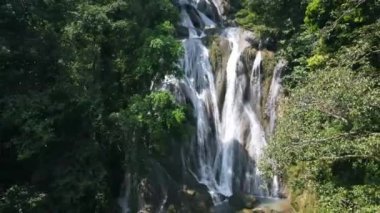 Yeşil bir yağmur ormanı ekosistemi içindeki bir şelalenin inanılmaz doğal güzelliği.