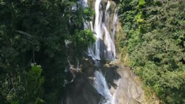Güzel yeşil bir ormanda saklı bir şelale.