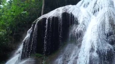 Karanlık kayaların üzerinde hızlı akan suyu olan tropik bir şelale. Yağmur ormanlarında hızlı akan şelale, yemyeşil bitkilerle çevrili..