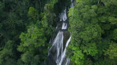 Cennet Ormanında Şelale. Tropikal Orman Doğası Ortam Videosu