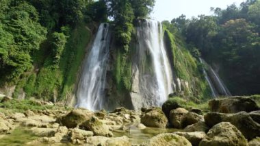 Güzel şelale ilkbahar sabahı yeşil orman doğasını çevreledi. Dağ nehrinin temiz su akıntısı hızla düşüyor..
