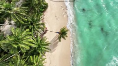 Beyaz kum turkuaz denizi ve güneş altında palmiye ağaçları olan tropik bir sahil. Yaz tatili konsepti.