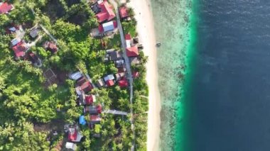 Tropikal kumsalın insansız hava aracı görüntüsü. Palmiye ağaçları, güzel deniz, sahil, okyanus suyu ve kum..