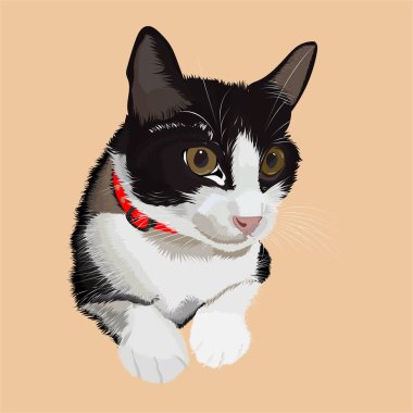 Cute cat illustrated  with red collar clipart