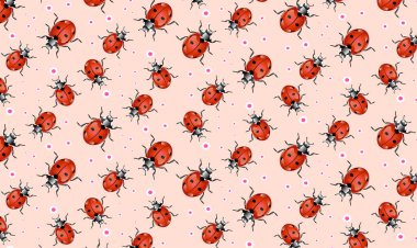 Lady bug vektör görüntü arkaplan deseni