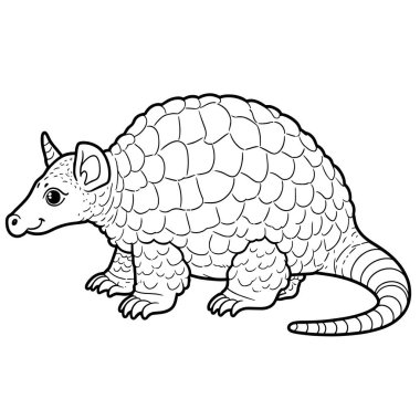 Beyaz arkaplanda armadillo vektörü