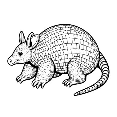 Beyaz arkaplanda armadillo vektörü