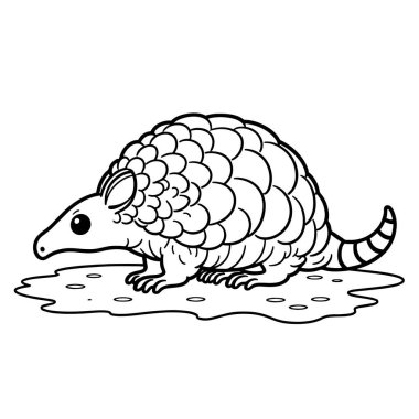 Beyaz arkaplanda armadillo vektörü