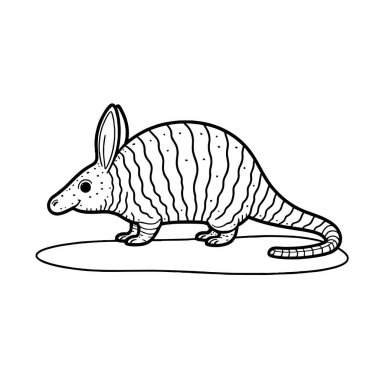 Beyaz arkaplanda armadillo vektörü