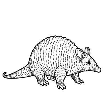 Beyaz arkaplanda armadillo vektörü