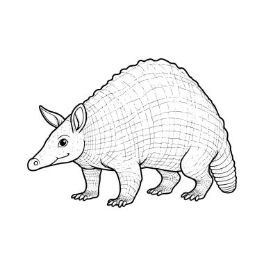 Beyaz arkaplanda armadillo vektörü