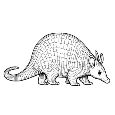 Beyaz arkaplanda armadillo vektörü