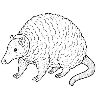 Beyaz arkaplanda armadillo vektörü