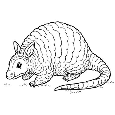 Beyaz arkaplanda armadillo vektörü