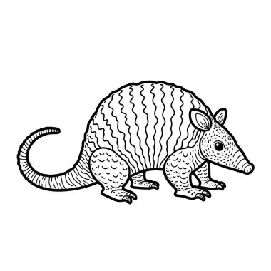 Beyaz arkaplanda armadillo vektörü