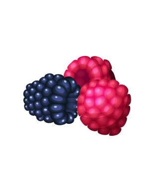 Yabanmersini meyve vektörü stok illüstrasyonu