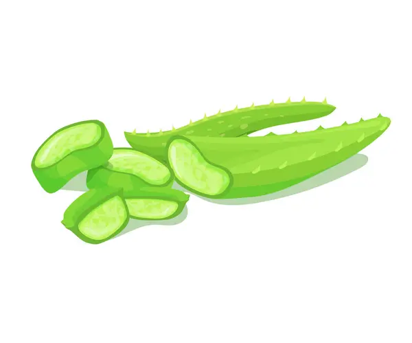 Aloe vera dilimleri, organik sulu bitki örnekleri.