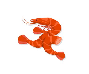 Karides ve karides vektör çizimi. Çizgi film, kafasız ya da kafasız, kuyruklu ya da kabuklu, deniz ürünleri restoranının menüsünden sağlıklı besin maddelerini izole etti.