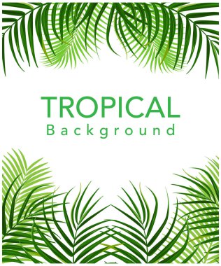 Palmiye Ağacı Yaprağı Silueti Arkaplan Vektörü Illustrat hisse senedi çizimi