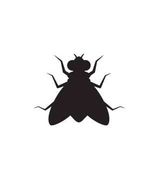 Sinek simgesi silueti vektör illüstrasyonu beyaz arkaplan resimlerinde izole edildi