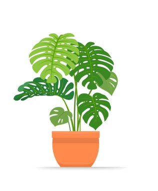 Ev bitkisi canavarı. Vektör çizimi. hisse illüstrasyonu