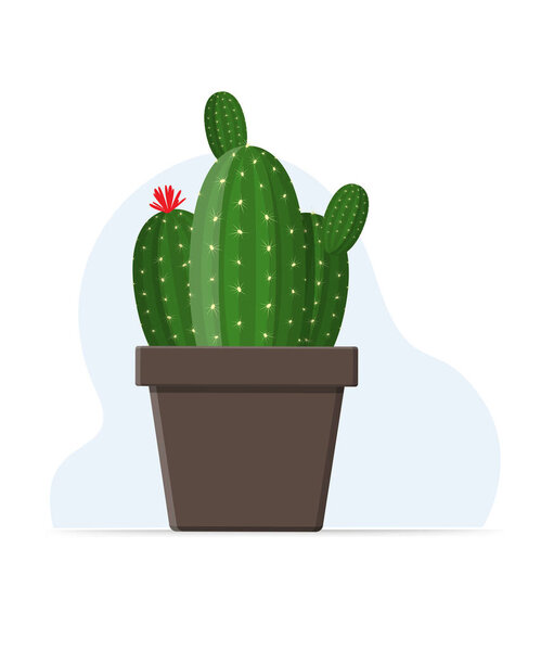 Кактус в цветочном горшочке