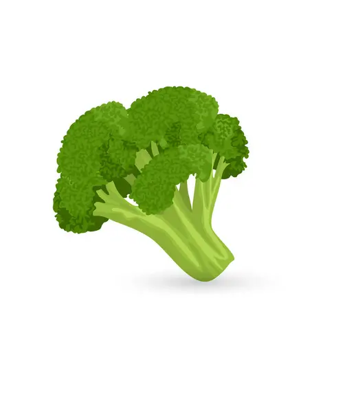 Brokoli taze sebze ikonu stok çizimi