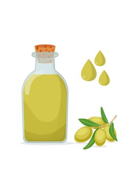 Bir şişe mantarlı zeytinyağı, üç damla ve beyaz arka planda yapraklı bir zeytin dalı. Vektör çizimi. Hisse Çizimi