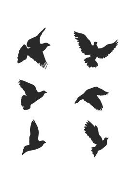 Uçan güvercinlerin vektör siluet koleksiyonu. Çeşitli pozlarda uçan güvercinler. hisse illüstrasyonu